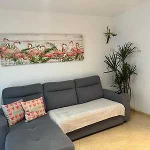 Parrot's House Апартаменты